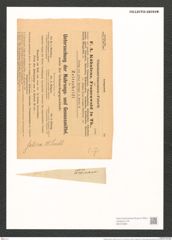 Surirella ovalis var. salina (W. Sm.) W. H. (de-Toni-Nr.: Genus 53, Species 2271) Zeichnungen Sammlung Grunow (NHMW-BOT-W0372808)